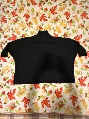 Black Cropped Turtleneck Short Sleeve Sweater Top